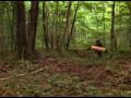 Earl's Canoe - PREVIEW
