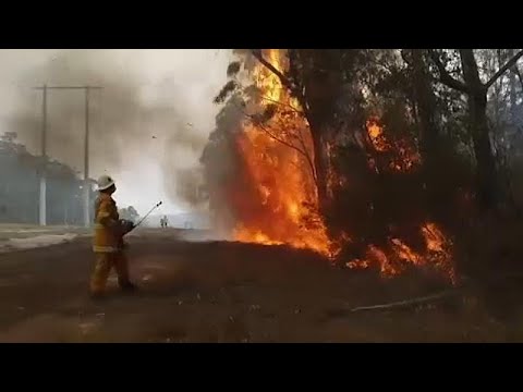 Mehr als 40 Grad: Australien steht vor neuer Hitzewell ...