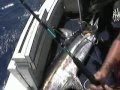 St-Martin Billfish Tournament compilation Part 1.