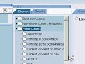 SAP NetWeaver Portal folder creation