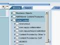Thumbnail of SAP NetWeaver Portal folder creation