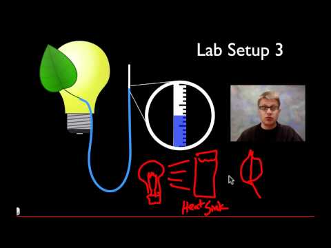 biology coursework transpiration biology coursework transpiration