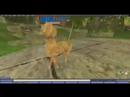 The LOLO Cats:  Virtual Cats in Second Life