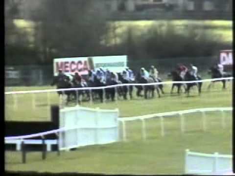 racing cheltenham
