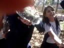 Tortada Tortada