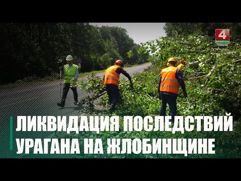 Последствия стихии продолжают ликвидировать на Гомельщине. Посмотрели, как убираются в Жлобинском районе видео