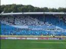 my movie about the worlds greatest football club; malm� ff.