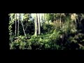 Takaisin puuhun.  Back to the tree.  Trailer