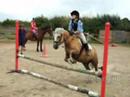 Jumping -- 5/7/2008.