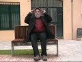 Campanades a Dalt la Vila (Poema Oratori)