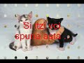 Ceva-frumos-pt-o-per