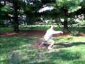 EXERCISES FOR ALL SEASONS: Jailhouse Tai Chi Form