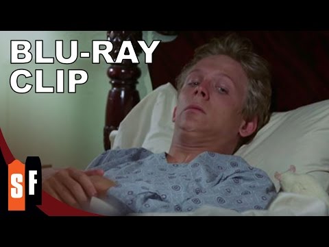 Willard (1971) - Clip 2: Ben (HD)