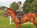 Lindsay et Mercussio