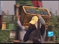 Le vin marocain grimpe en qualité Le vin marocain grimpe en qualité