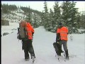 Search Crews Busy in The Comox Valley