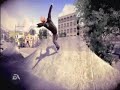 Skate TM