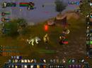 Qpac the healadin