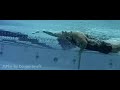 swim