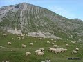 slovensko