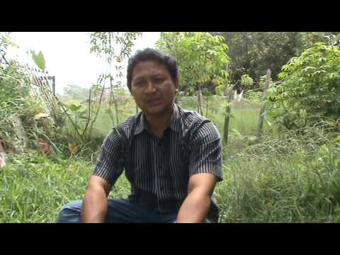 See video