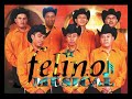 FELINO MUSICAL SI ME DUELE