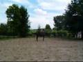 pret pour cavalia