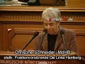 Linkspartei-Maske f�llt