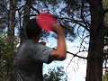 Disc Golf Disc Golf