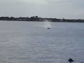 1/4 Scale Formual One Tunnel boat
