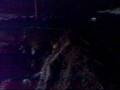 videos de tulvii