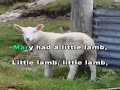 Mary Had A Little Lamb