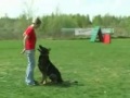 Hundearbeit und Hundesport