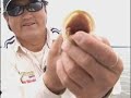 Ayrton pesca - Programa de pesca - Tucunar�
