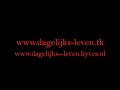 dagelijks leven - theme song(orginal version)