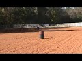 20091106142444.mpg