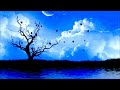 Click here to watch this video Capt. Krook - Night (Original Mix)
