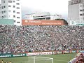 A TORCIDA do verdão canta e vibra no parque!
