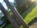 Tire Swing