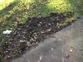 Drunk Driver Demolishes Park Bench 31 Gessner Houston Texas