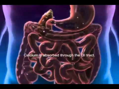 how to get more vitamin d'and calcium