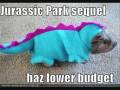 Funny animals 1