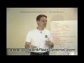 Ant Control - Ant Colonies - Ant Guru