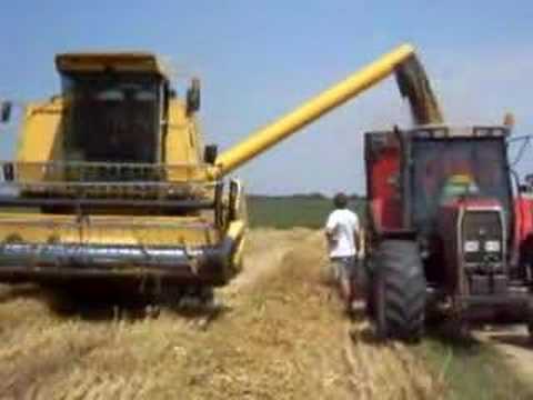 New Holland Clayson 8070 and Massey ferguson 6180