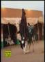 Niger-music