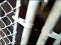 Jul 19 2008 - VID00037