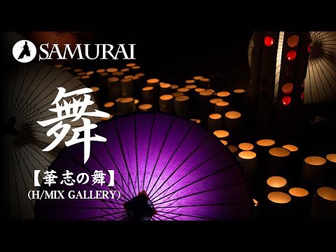 動画
