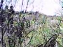 Sniper Cam Reloaded