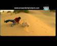  - MovieZen Video