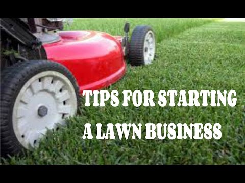how to lawn care tips